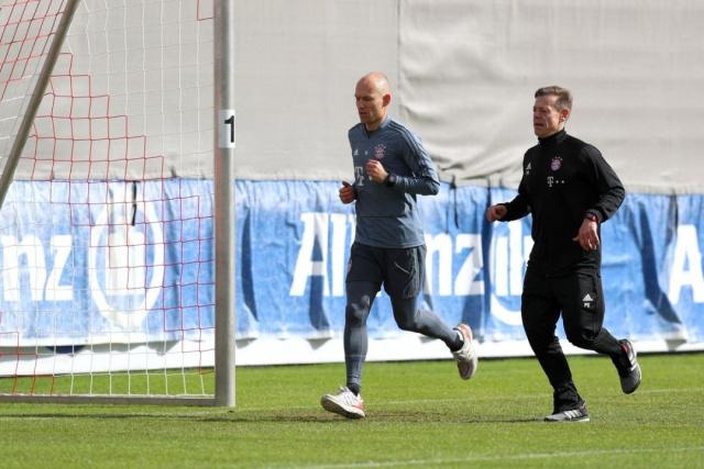 甲领头羊 甲领头羊